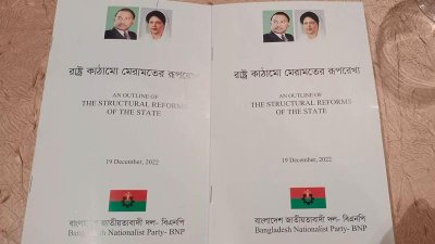 বিএনপির রূপরেখা