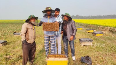 ধুবইল মাঠে মধু কিনতে আসা লোকজনকে মধু সংগ্রহের প্রক্রিয়া দেখাচ্ছেন মামুন