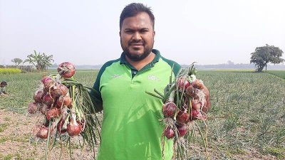দেশি জাতের পেঁয়াজের বাম্পার ফলনেও কৃষকের চোখে ‘আঁধার’