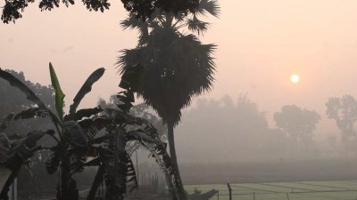 কুয়াশাচ্ছন্ন সকাল
