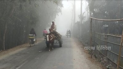 কুয়াশার চাদরে ঢাকা চারদিক, শীতে সাধারণ মানুষের দুর্ভোগ