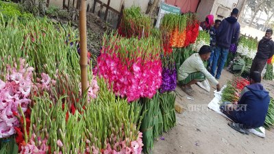 তিন দিবসে ৭০ কোটি টাকার ফুল বিক্রির আশা করছেন চাষিরা