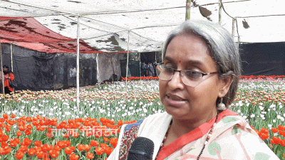 নেদারল্যান্ডসের টিউলিপে শ্রীপুরের দম্পতির মুখে হাসি