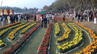 ফৃল