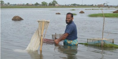 এক টুকরো খাস জমি খুলে দিয়েছে আয়ের বহুমুখী পথ