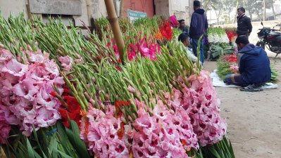 flower4