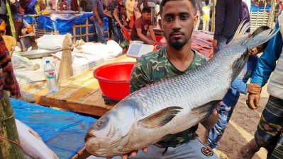 পোড়াদহে ২শ বছরের পুরনো ‘জামাই মেলায়’ ভিড়, আজ ‘বউ মেলা’