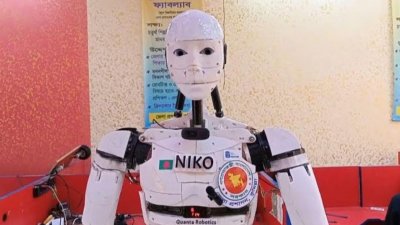 বিখ্যাত বিজ্ঞানী নিকোলাস টেসলারের নামের প্রথম অংশ থেকে এটির নাম দেওয়া হয়েছে নিকো