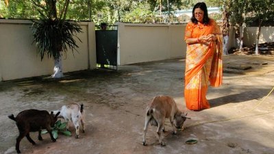 করা হচ্ছে ছাগল পালনও