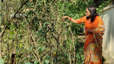 অফিসের কা‌জের অবসরে তিনি সময় দেন নি‌জের গড়া খামারে