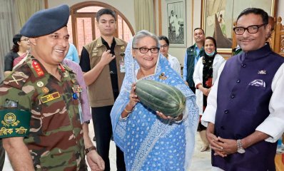টুঙ্গিপাড়ায় প্রধানমন্ত্রীর পৈত্রিক পতিত জমিতে চাষ করা শাকসবজি এলো গণভবনে