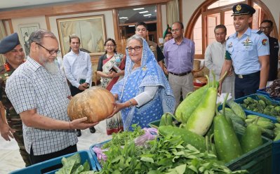 টুঙ্গিপাড়ায় পতিত জমিতে চাষ, সবজি এলো গণভবনে
