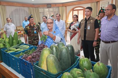 টুঙ্গিপাড়ায় প্রধানমন্ত্রীর পৈত্রিক পতিত জমিতে চাষ করা শাকসবজি এলো গণভবনে