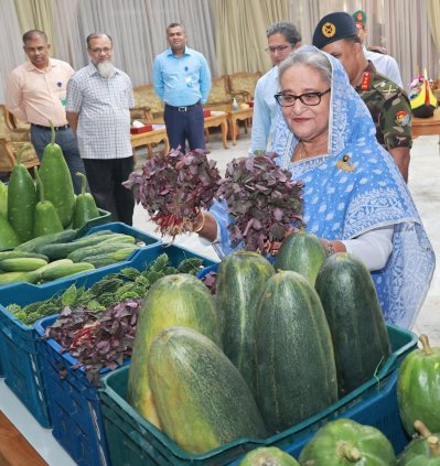 টুঙ্গিপাড়ায় প্রধানমন্ত্রীর পৈত্রিক পতিত জমিতে চাষ করা শাকসবজি এলো গণভবনে