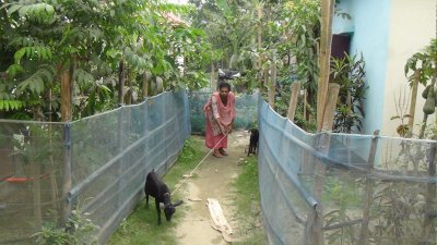 আবাসন প্রকল্পে ঠাঁই পাওয়া ৩৮ হিজড়া এখন স্বাবলম্বী
