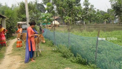 উপহারের ঘরে জীবনের প্রথম ঈদ উদযাপন করবেন তারা