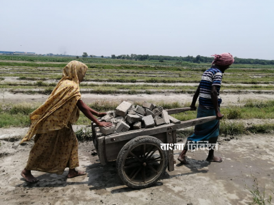 ইটের সঙ্গে পোড়া জীবন