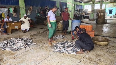 সাগর থেকে ইলিশ ছাড়াই ফিরছেন জেলেরা