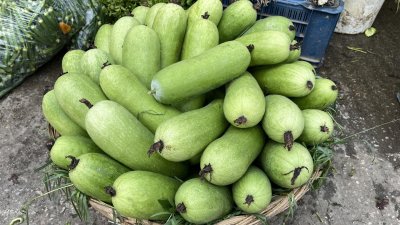 নিত্যপণ্যের দাম ঊর্ধ্বমুখী, কাঁচাবাজারে ফেরেনি স্বস্তি