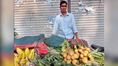 হিলির বাজারে বিক্রি হচ্ছে অপরিপক্ক লিচু