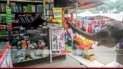 লম্বা শুঁড় দিয়ে দোকানির কাছ থেকে টাকা নিচ্ছে হাতি (ফাইল ছবি)