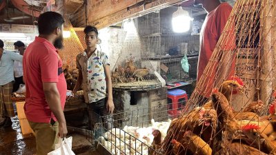 পেঁয়াজের দাম বাড়ছেই