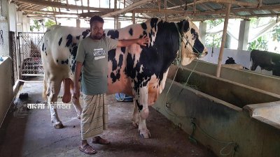 ভাইজানের বর্তমান বয়স চার বছর পাঁচ মাস