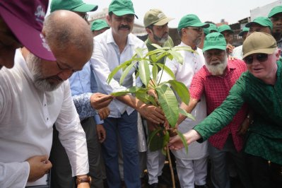 ডিএনসিসির সব রাস্তা ও ফুটপাতে গাছ লাগানো হবে: মেয়র আতিক