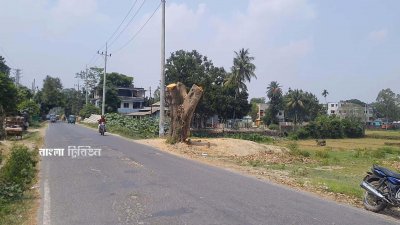 ইতোমধ্যে বেশ কিছু গাছ কেটে ফেলা হয়েছে