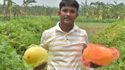 ২০ শতক জমিতে তরমুজ চাষ করেছেন শামীম