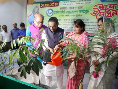 বঙ্গবন্ধু এভিনিউয়ে গাছের চারা রোপণ করেন ওবায়দুল কাদের (ছবি: ফোকাস বাংলা)