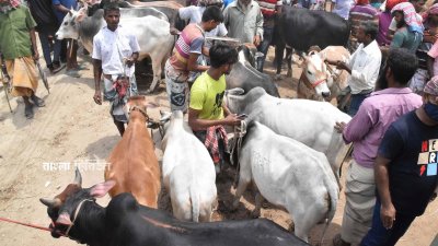 দামের কারণে হিসাব মেলাতে পারছেন না অধিকাংশ ক্রেতা