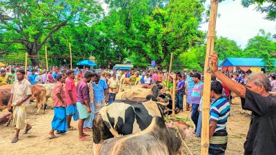 এক বছরের ব্যবধানে বিভিন্ন খাদ্য উপকরণের দাম প্রায় দ্বিগুণ হয়েছে  ছবি: প্রতিবেদক