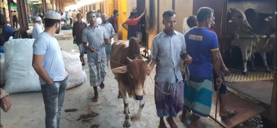 ব্যবসায়ীরা ট্রেনে পরিবহনের জন্য গরু নিয়ে যাচ্ছেন