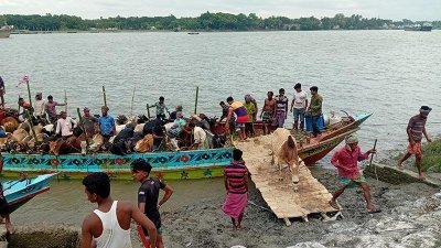 ৮৯ হাজার টাকায় কেনা গরুটির দাম এখন ১০ লাখ, কিনলেই খাসি ফ্রি