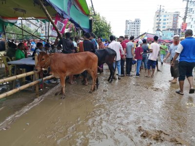 পশুর হাটে কাদা ও পানিতে সয়লাব 