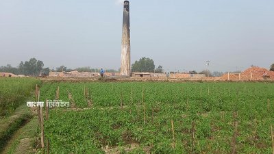 আবাদি জমি দখল করে গড়ে উঠেছে ইটভাটা