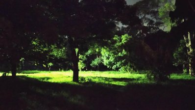 চন্দ্রিমা উদ্যানের ভেতরের বাগান