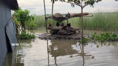 বালাডোবা গ্রামে বসবাসরত ২৫টি পরিবারের দুর্ভোগ