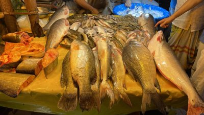 আজকের বাজারে রুই ও কাতল মাছ ৪০০-৪৫০ টাকা দরে বিক্রি হচ্ছে