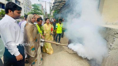 ওয়ার্ডে ওয়ার্ডে চলছে মশা নিধন কার্যক্রম