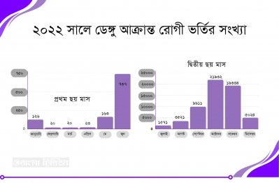 ডেঙ্গু চক্রে বাংলাদেশ