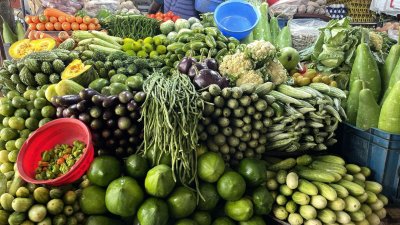 প্রায় সব ধরনের সবজির দামই কমেছে