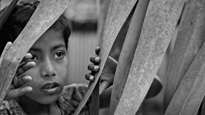 &lsquo;আম কাঁঠালের ছুটি&rsquo;
