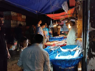 কাওরানবাজার মাছের আড়তে প্রায় প্রতিদিনই ইলিশের দরদাম করতে ভিড় করেন অনেকে