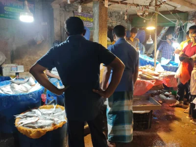 কেউ কেউ ফিরে যান মাছ না কিনেই