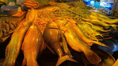 স্বস্তি নেই মাছের বাজারে