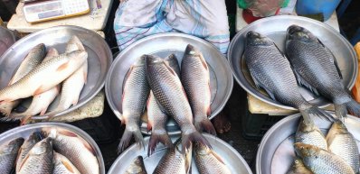 মুরগির দাম লাগামহীন, মাছ-সবজির বাজারও চড়া