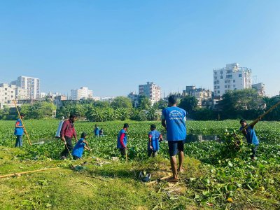 শুষ্ক মৌসুমে কিউলেক্স মশার উৎপাত বেড়ে যায়