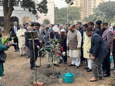 বাসভবনের আঙ্গিনায় আম গাছের চারা রোপণ করা হয়